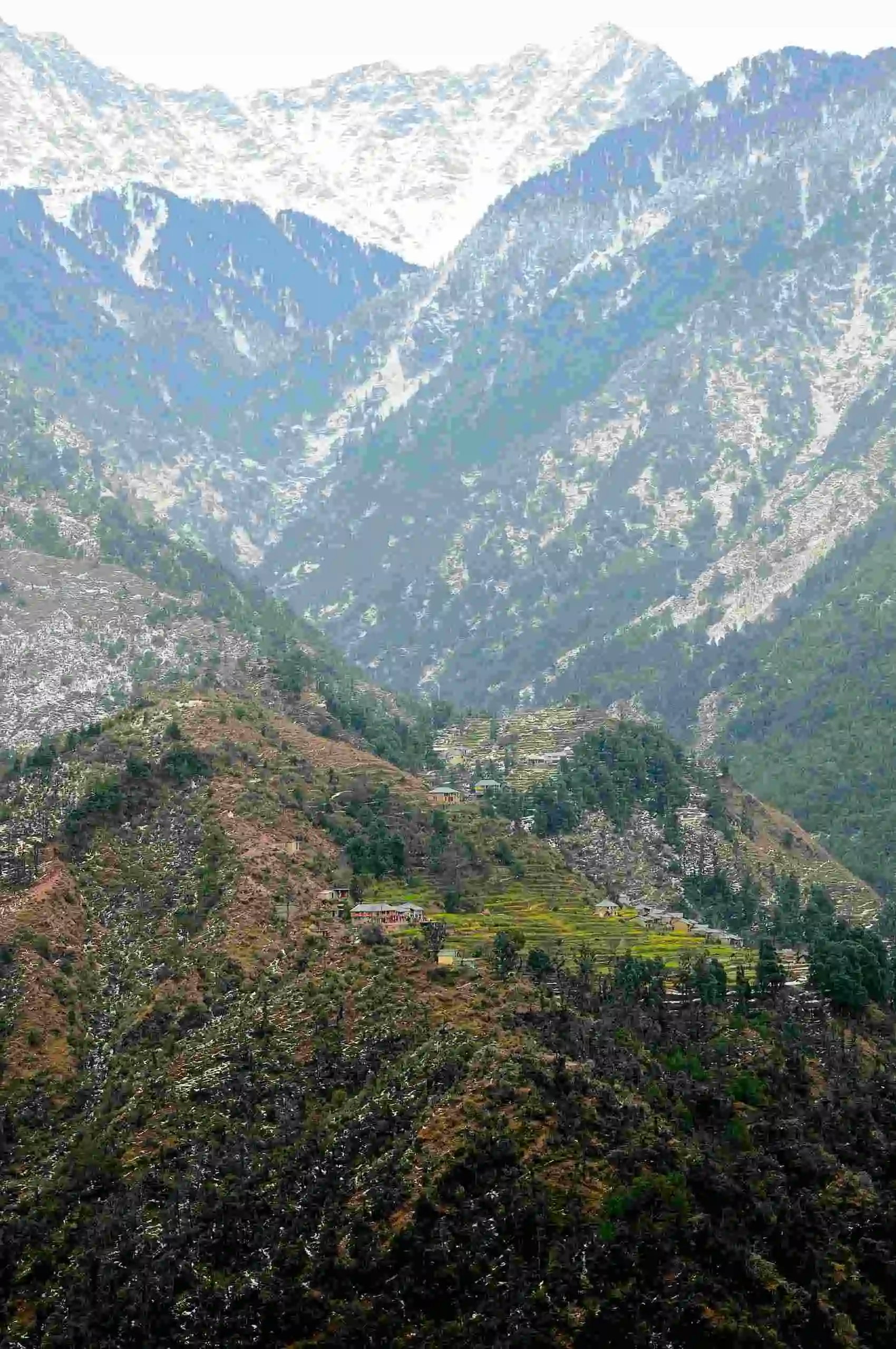 view of the snow-capped Himalayas in Hadimba Temple, India, showcasing natural beauty.